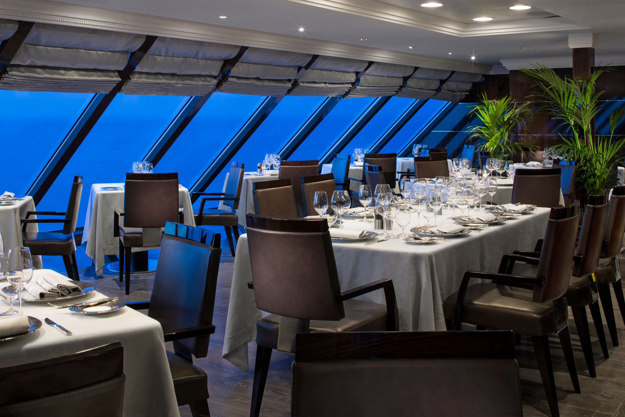 Oceania Sirena 6