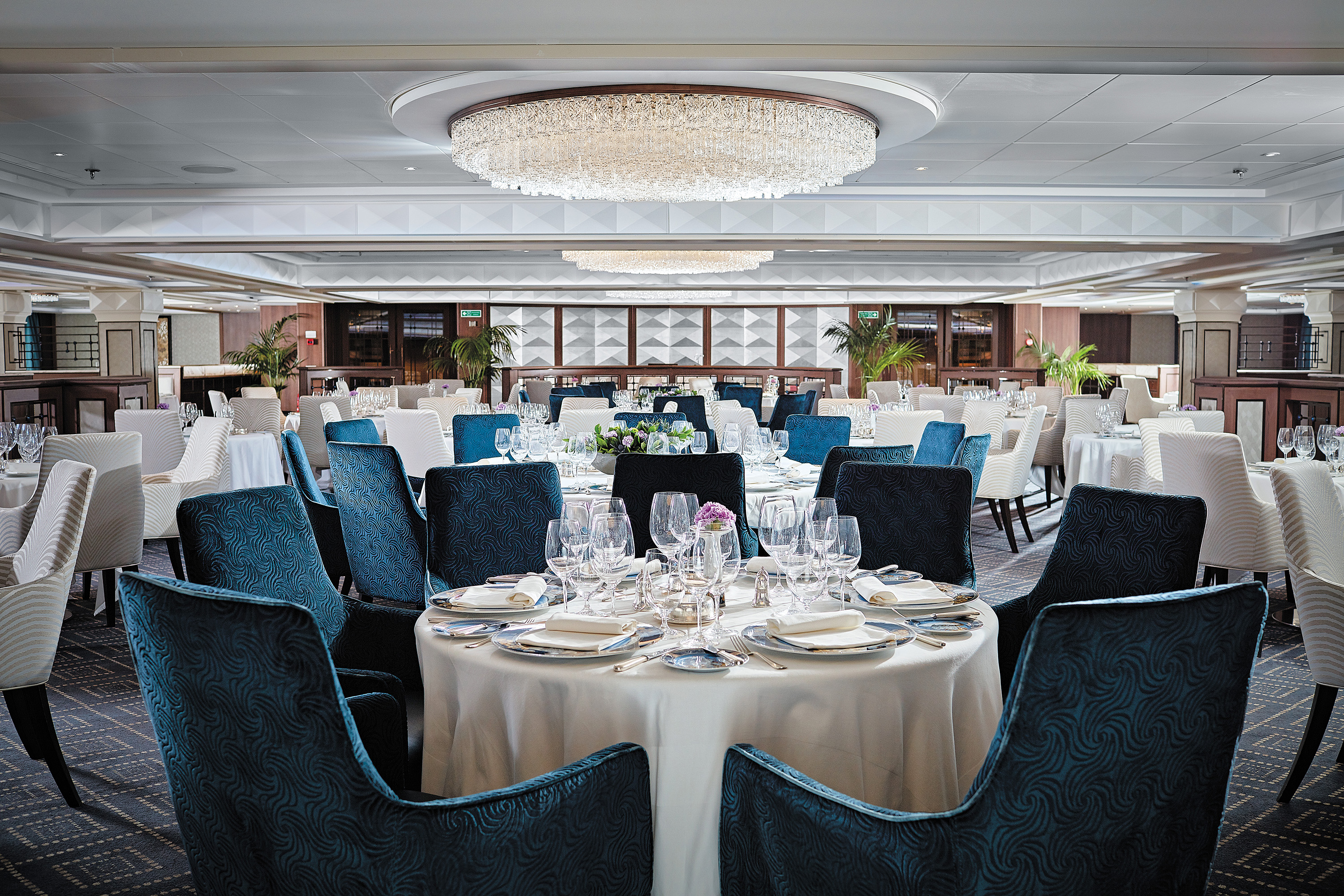Seven Seas Navigator 6