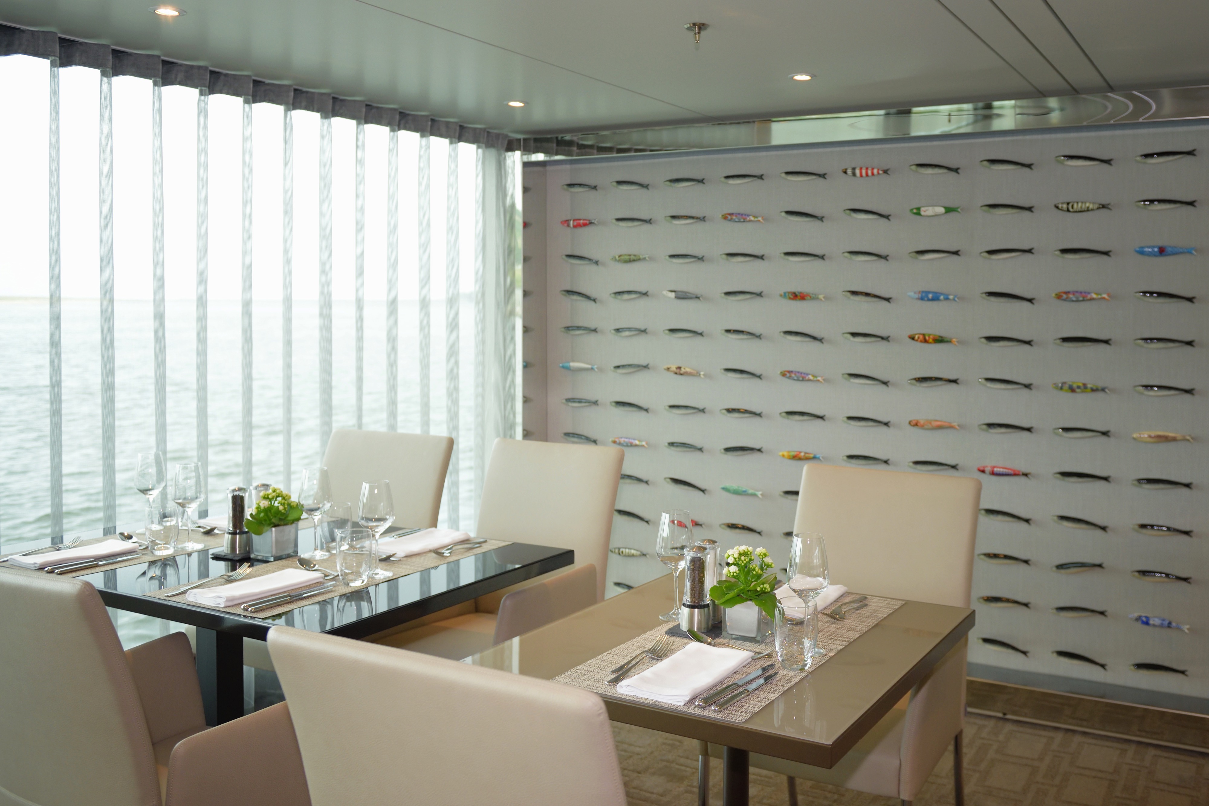 Scenic Aria 7